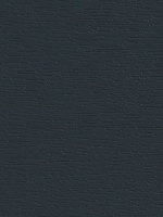 15. ANTHRACIET
