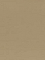18. BEIGE